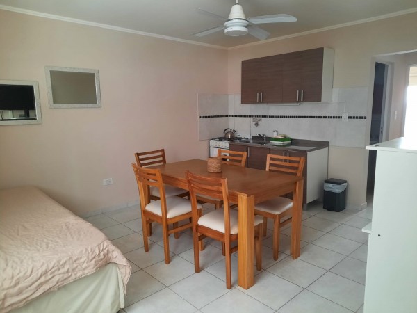 Vendo departamento en  PA zona Centro