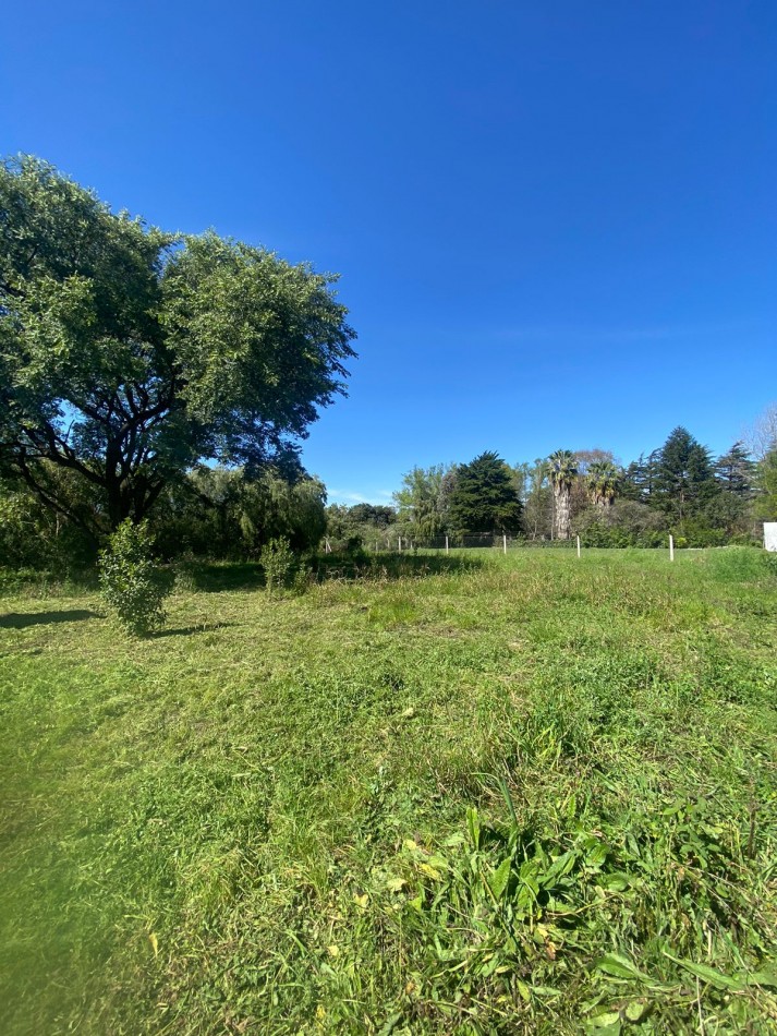  VENDO ULTIMO TERRENO INTERNO ZONA PARACAO