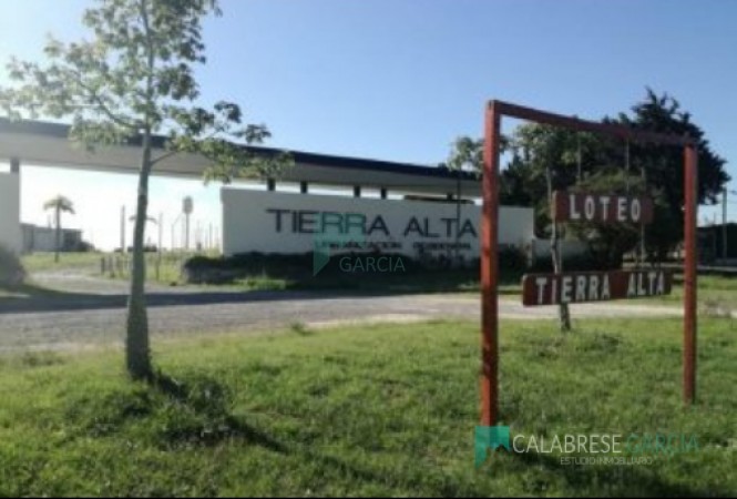 Vendo 3 terrenos en Tierra Alta 1